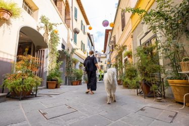 Dove si trova Grosseto