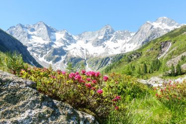 Dove si trova il Monte Rosa
