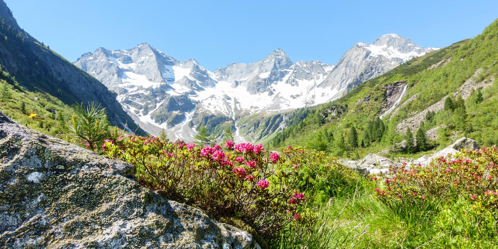 Dove si trova il Monte Rosa
