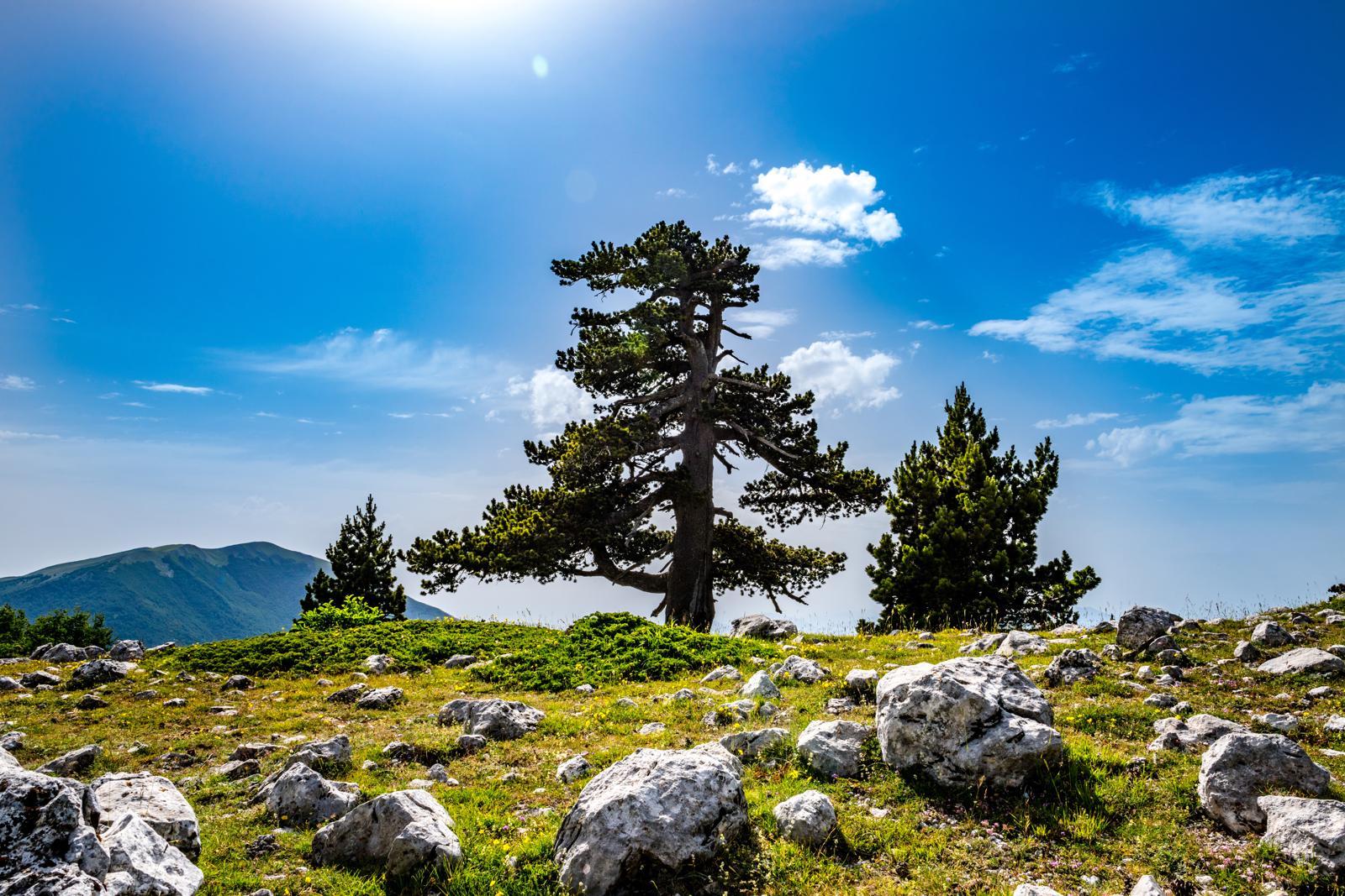 Dove si trova il Parco Del Pollino