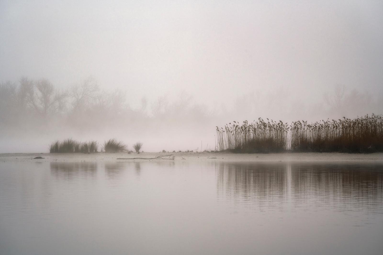 Dove si trova la Pianura Padana